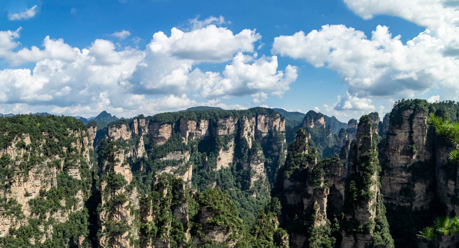 Zhangjiajie sandstone pillars under a blue sky