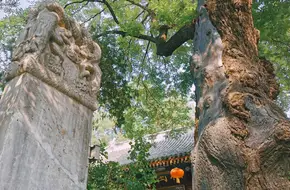 Fayuan Temple-Minzhong Pavilion
