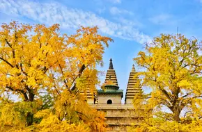 Wuta Temple Tower