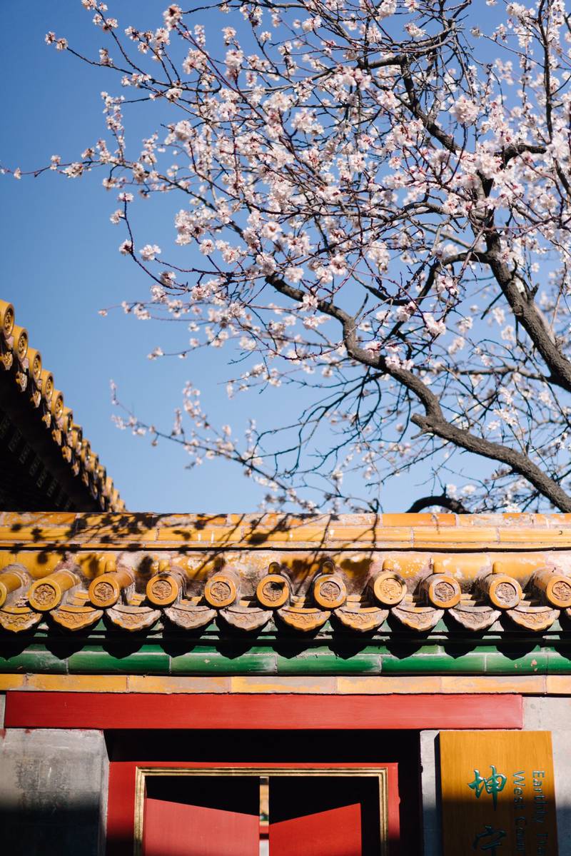 Palace Of Earthly Tranquility