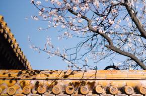 Palace Of Earthly Tranquility