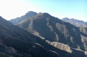 Jinfeng Terrace