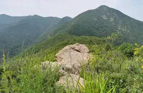 Badaling Wild Great Wall