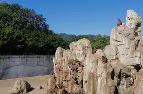 African Animal Zone