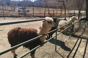 Beijing Badaling Wildlife Park