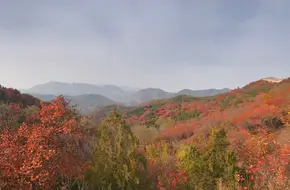 Hongyeling Scenic Area