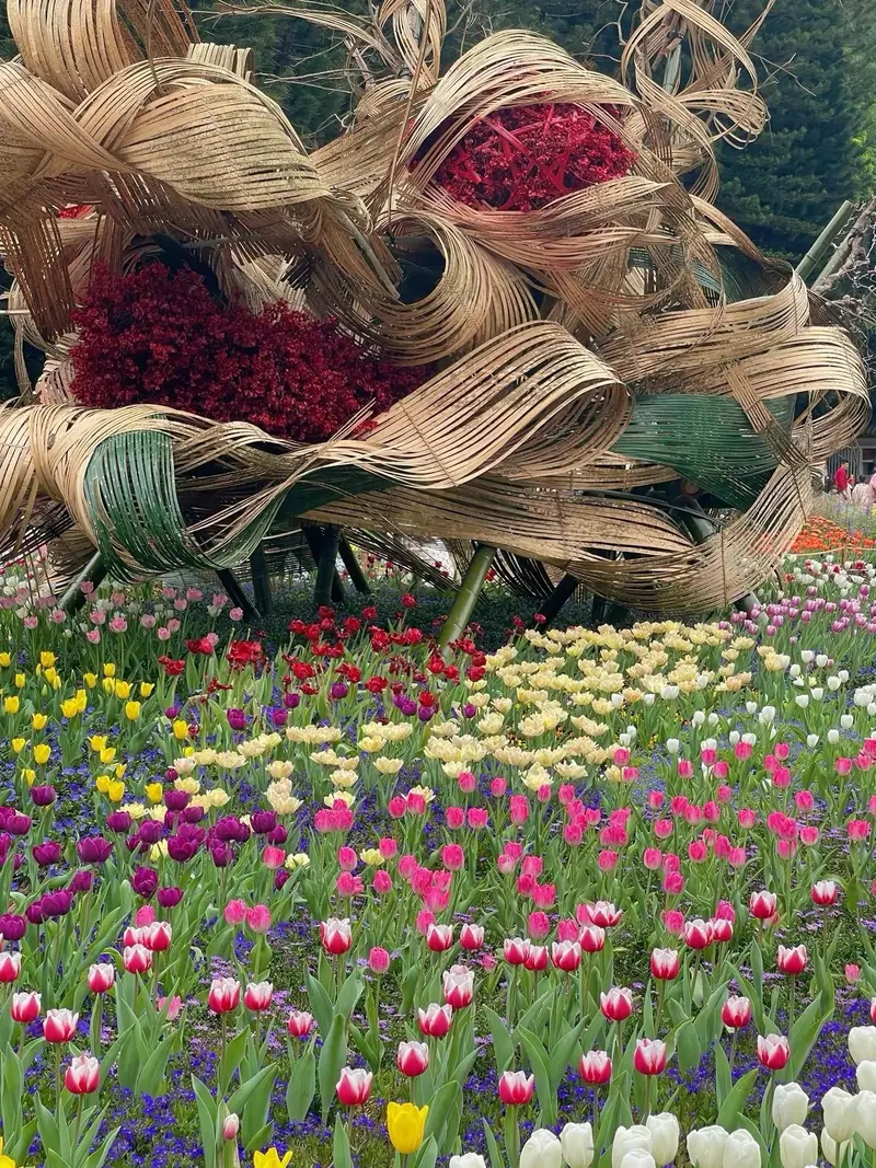 Fairylake Botanical Garden