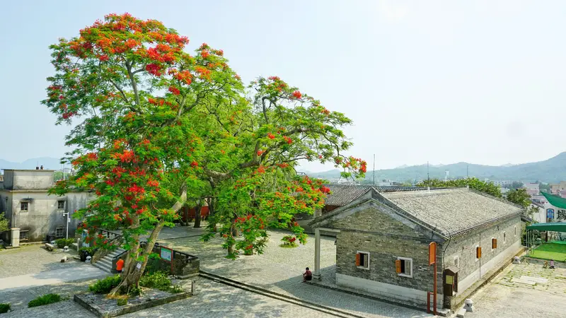 Dapeng Ancient City