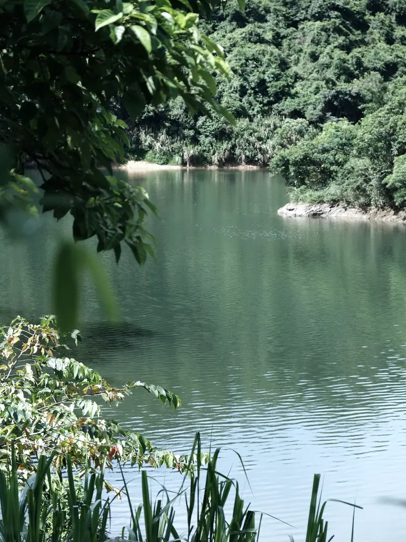 Mount Tai Stream