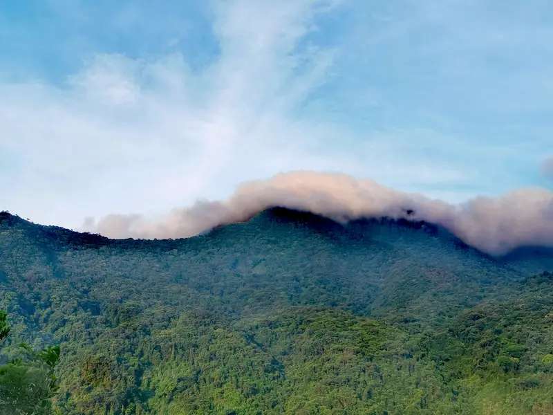 Ecological Reserve