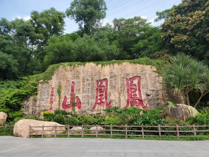 Phoenix Mountain