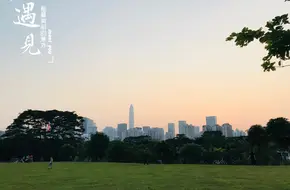 Shenzhen Special Economic Zone 30th Anniversary Memorial Park