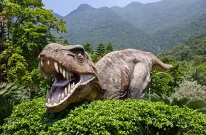 Shenzhen Dapeng Peninsula National Geological Park