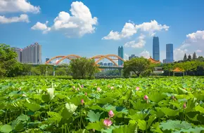 Honghu Park