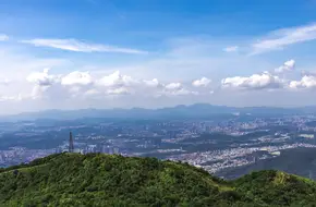 Wutong Mountain