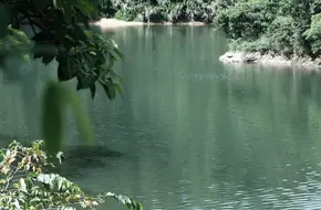 Mount Tai Stream