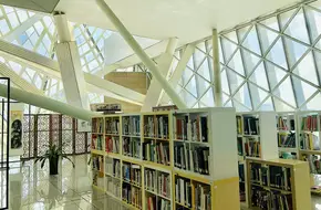Shenzhen Library