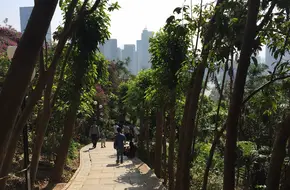 Rongchao Viewing Pavilion