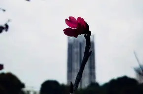 Ruiji Pavilion