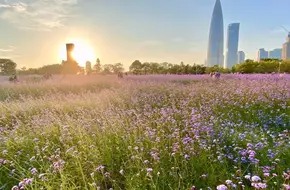 Shenzhen Bay Park