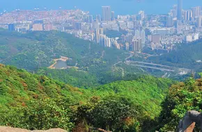 Wutong Mountain