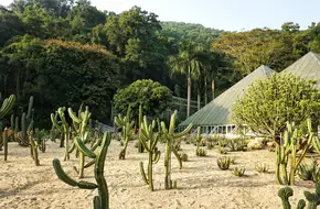 Fairylake Botanical Garden