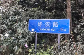 Wutong Misty Cloud Scenic Area