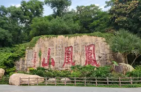 Phoenix Mountain