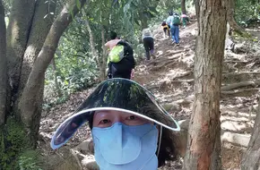 Mount Tai Stream