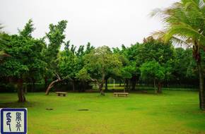 Shenzhen Mangrove Nature Reserve