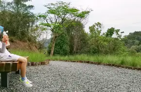 Butterfly Valley