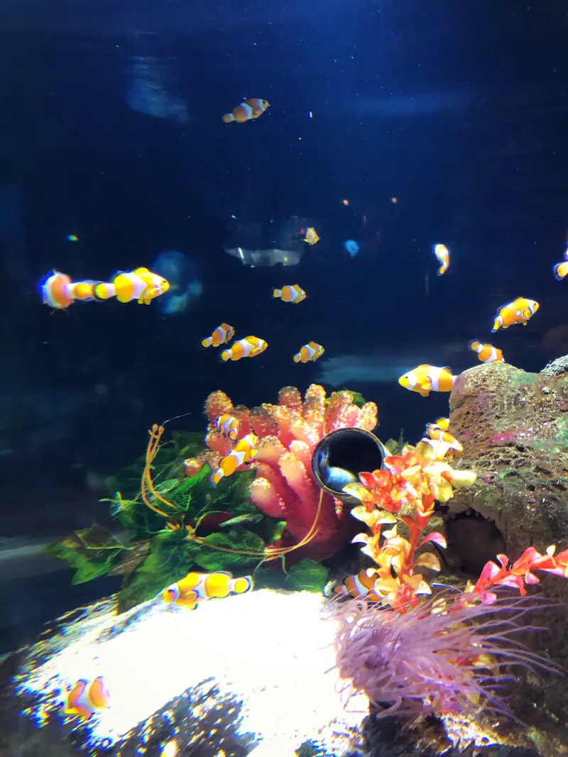 Fuguo Underwater World