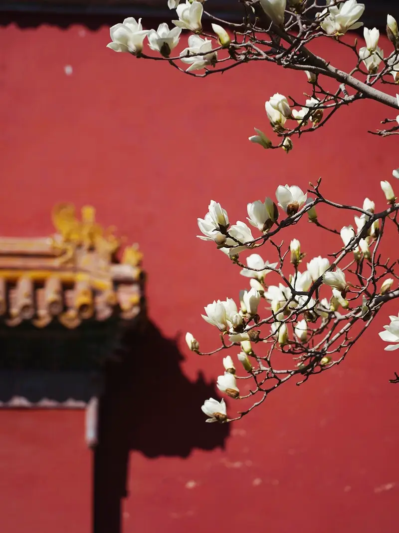 The Working People'S Cultural Palace