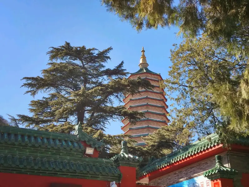 Badachu Park