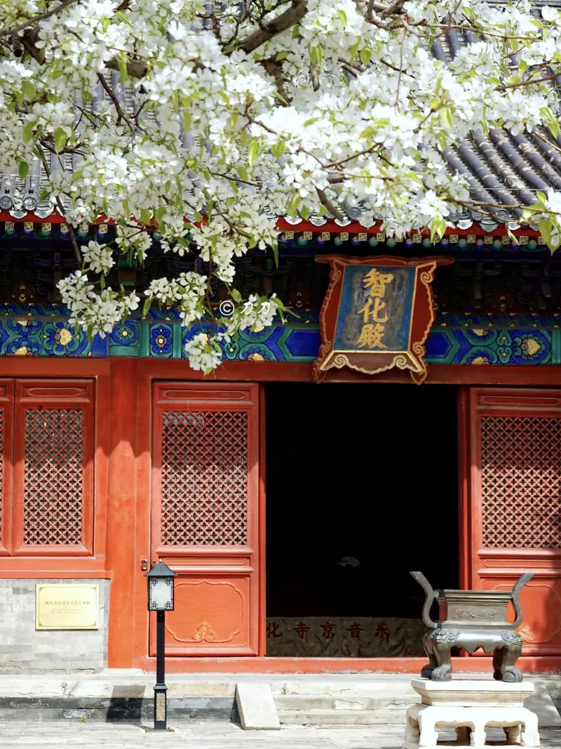 Zhihua Temple