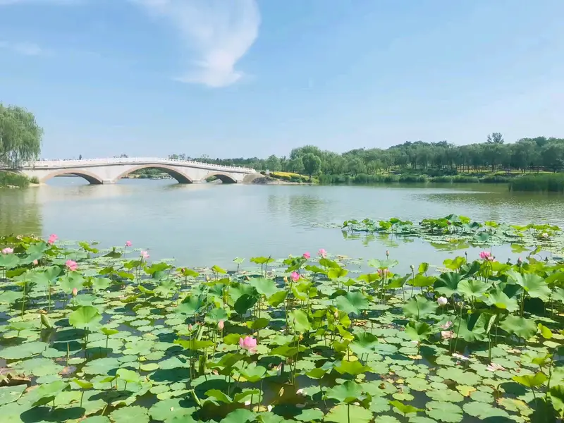 Nanhaizi Park