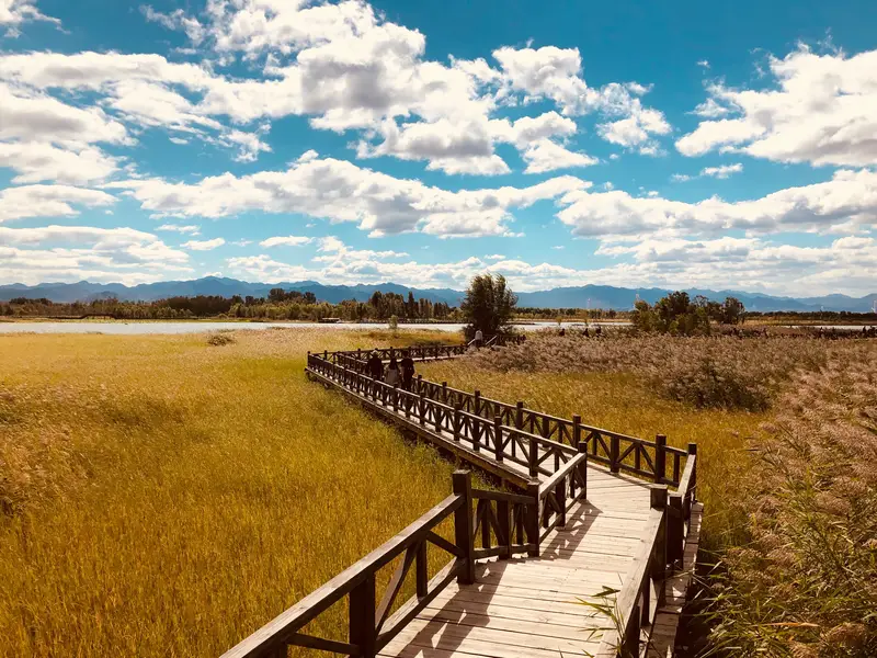 Yeyahu Wetland Park