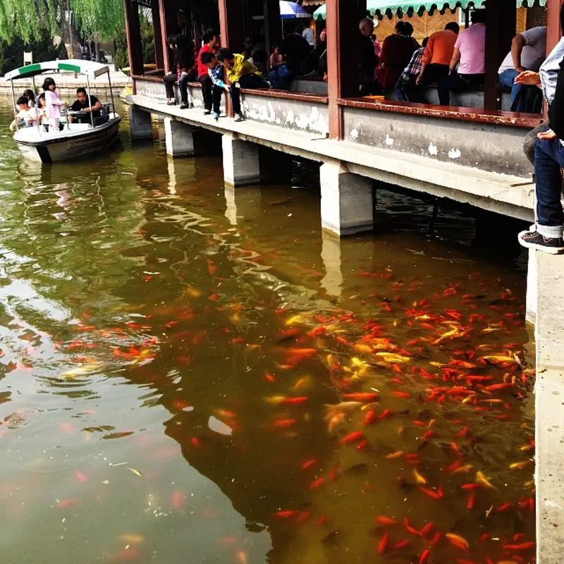 Tuanjiehu Park