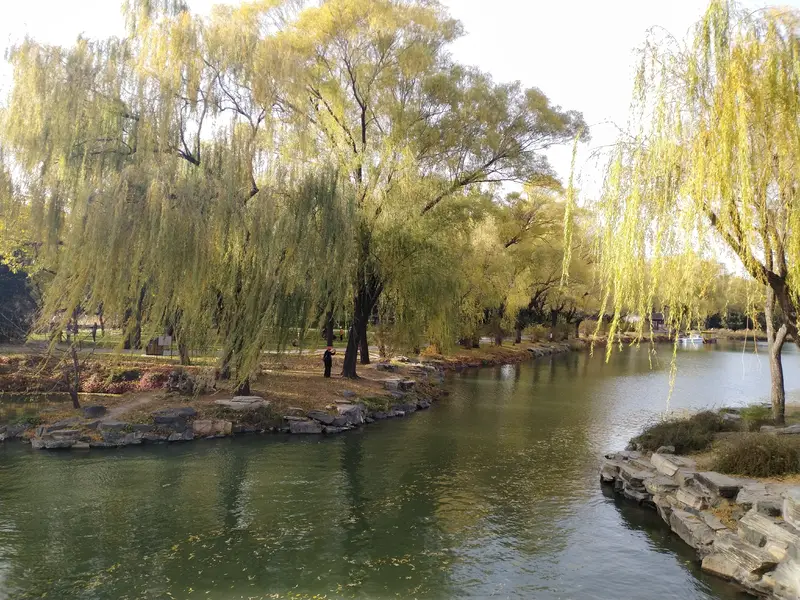 Bin Feng Bridge