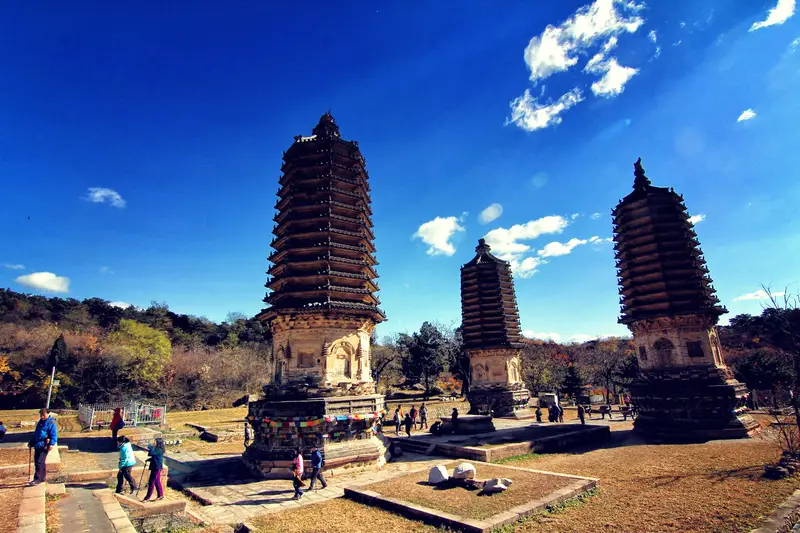 Yinshan Pagoda Forest