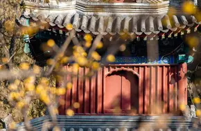 Temple Of The Sleeping Buddha (Wofosi)