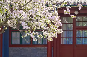 Soong Ching-Ling Memorial Residenc