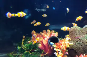 Fuguo Underwater World