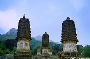 Yinshan Pagoda Forest