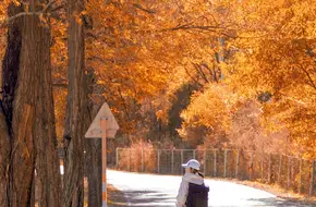 Baili Landscape Gallery Scenic Spot