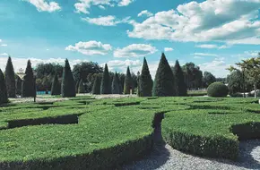 World Flower Garden