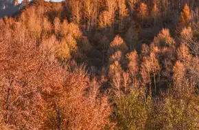 Yudu Mountain Scenic Area