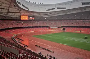 Bird'S Nest
