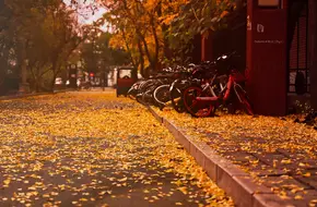 Renmin University Of China