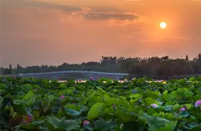 Nanhaizi Park